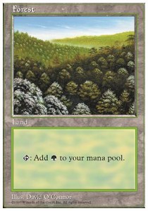 Forest