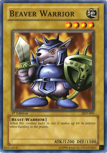 Beaver Warrior