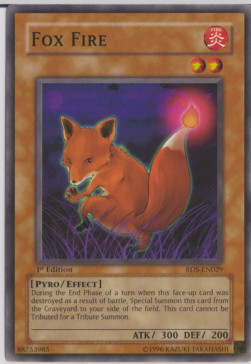 Fox Fire