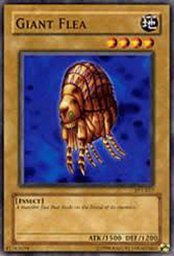 Giant Flea