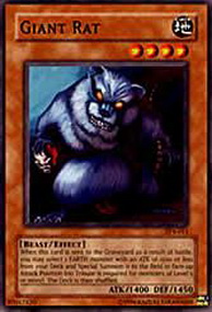 Giant Rat