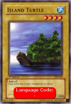 Island Turtle