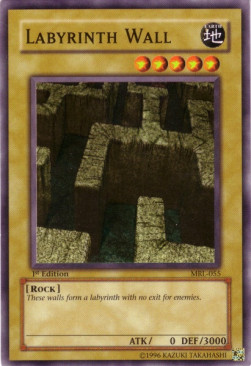 Labyrinth Wall