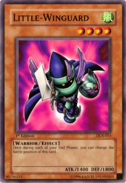 Little-Winguard