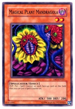 Magical Plant Mandragola