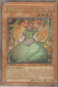 Koa'ki Meiru Gravirose