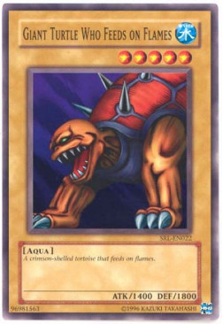 Giant Turtle Who Feeds on Flames