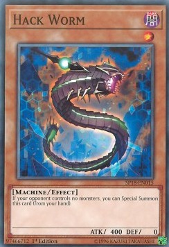 Hack Worm