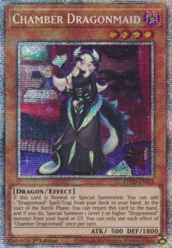 Chamber Dragonmaid