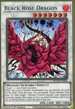 Black Rose Dragon