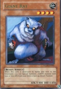 Giant Rat