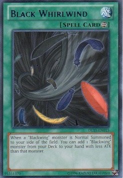 Black Whirlwind