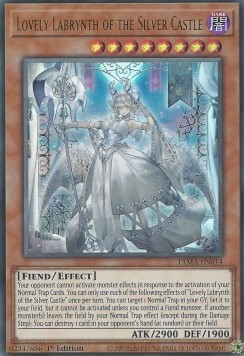 Lovely Labrynth of the Silver Castle