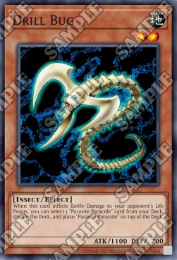Drill Bug
