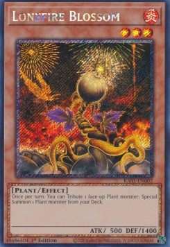 Lonefire Blossom
