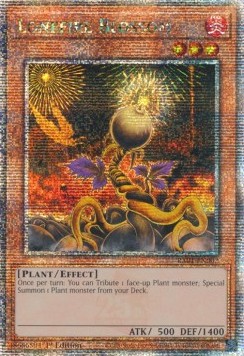 Lonefire Blossom