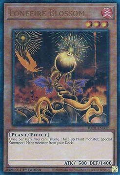 Lonefire Blossom