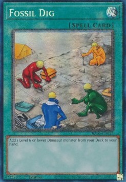 Fossil Dig