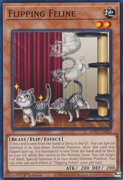 Flipping Feline