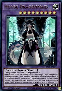 House Dragonmaid