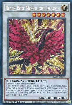 Black Rose Moonlight Dragon