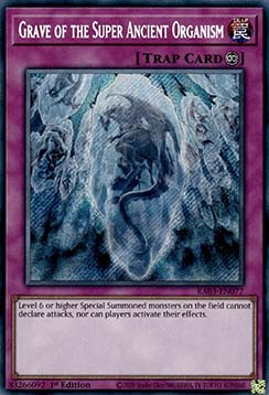 Grave of the Super Ancient Organism
