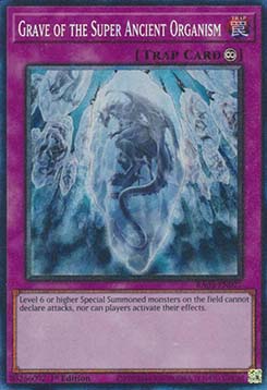 Grave of the Super Ancient Organism