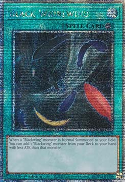 Black Whirlwind