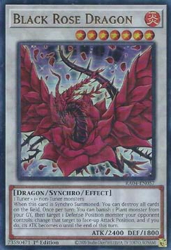 Black Rose Dragon