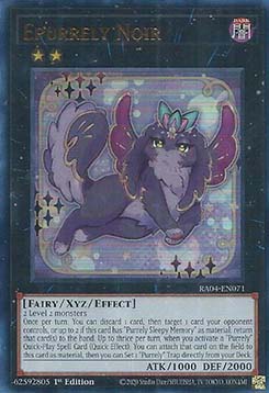 Epurrely Noir