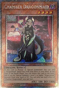 Chamber Dragonmaid