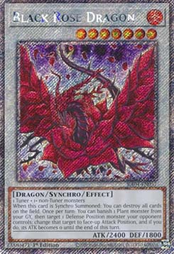Black Rose Dragon