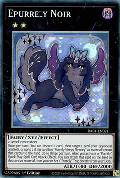 Epurrely Noir