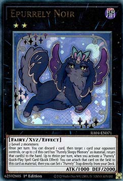 Epurrely Noir