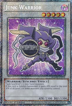 Junk Warrior