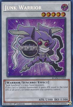 Junk Warrior