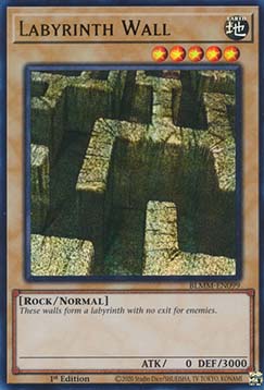 Labyrinth Wall