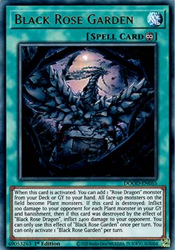 Black Rose Garden