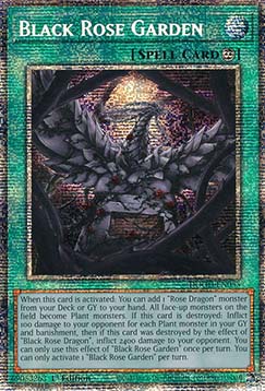 Black Rose Garden