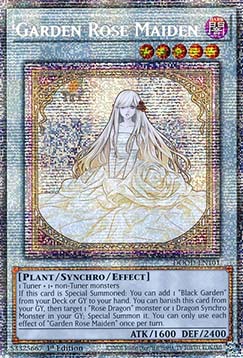 Garden Rose Maiden
