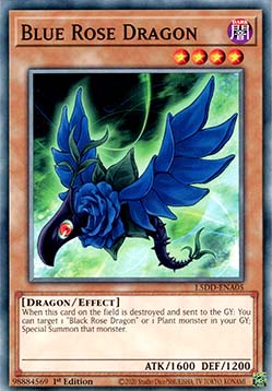 Blue Rose Dragon