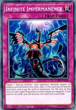 Infinite Impermanence