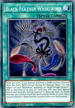 Black Feather Whirlwind