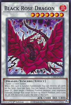 Black Rose Dragon