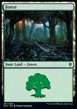 Forest