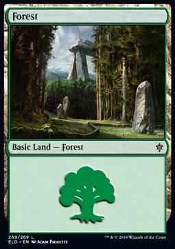 Forest