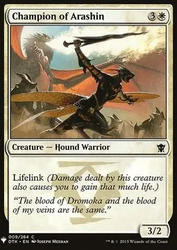 Champion of Arashin