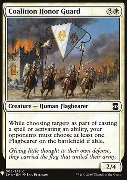Coalition Honor Guard