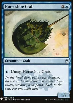 Horseshoe Crab