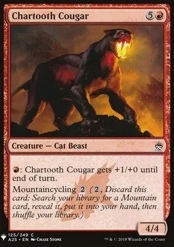 Chartooth Cougar